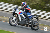 Rapid 13-04-23-8