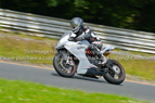 Rapid Training Day. 9th August 2023
