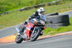 Rapid Training Day. 9th August 2023