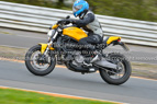 Rapid Training Day. 12th April 2023