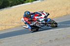Rapid Training Day. 29th July 2026