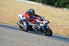 Rapid Training Day. 29th July 2026