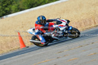 Rapid Training Day. 29th July 2026