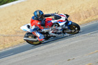 Rapid Training Day. 29th July 2026