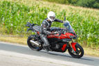 Rapid Training Day.29th August 2024