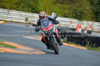 Rapid Training Day.29th August 2024