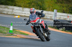 Rapid Training Day.29th August 2024