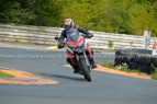 Rapid Training Day.29th August 2024